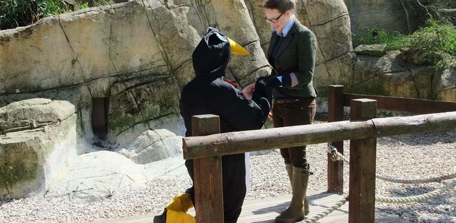 Penguin themed proposal at Cotswold Wildlife Park and Gardens